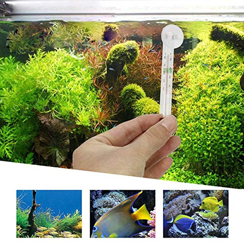 Evangelia.YM Aquarium Fish Tank Thermometer, Glass Meter Water Temperature Sensing Thermometer Gauge with Suction Cup Clearly Easy to Read Scale (Clear)