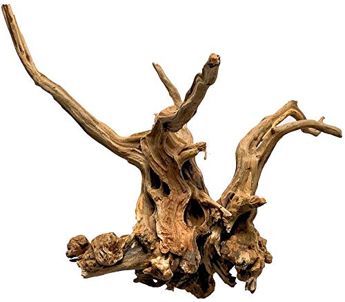 PINVNBY Large Driftwood for Aquarium Decorations Natural Assorted Branches Dearded Dragon Tank Accessories Terrarium Decor