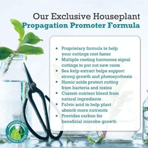 Houseplant Propagation Promoter & Rooting Hormone, Root Stimulator, Plant Starter Solution for Growing New Plants from Cuttings (Formulated for Fiddle Leaf Fig or Ficus Lyrata)