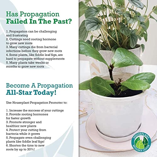 Houseplant Propagation Promoter & Rooting Hormone, Root Stimulator, Plant Starter Solution for Growing New Plants from Cuttings (Formulated for Fiddle Leaf Fig or Ficus Lyrata)