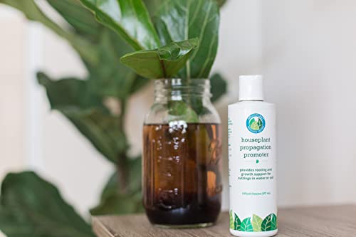 Houseplant Propagation Promoter & Rooting Hormone, Root Stimulator, Plant Starter Solution for Growing New Plants from Cuttings (Formulated for Fiddle Leaf Fig or Ficus Lyrata)