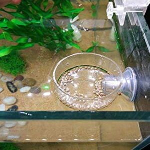 DGZZI Fish Feeder Acrylic Aquarium Fish Tank Adjustable Circle Ring Fish Feeding Floating Food Dish Food Protection Cover Tray Feeder