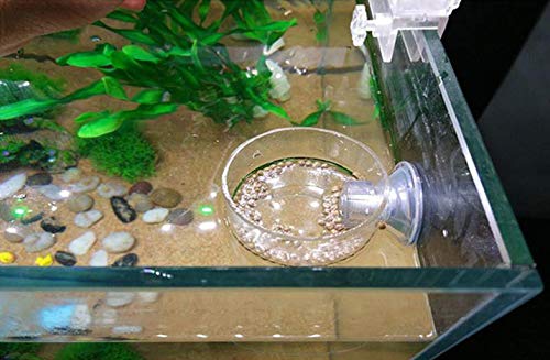 DGZZI Fish Feeder Acrylic Aquarium Fish Tank Adjustable Circle Ring Fish Feeding Floating Food Dish Food Protection Cover Tray Feeder