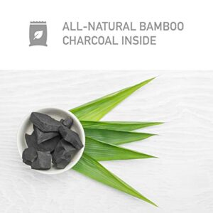 PureGuardian Guardian Technologies CB075 Bamboo Charcoal Air Purifying Bags, Eco-Friendly, Naturally Absorbs Odors, Excess Moisture and Pollutants, 2-pack - 75g each, Gray