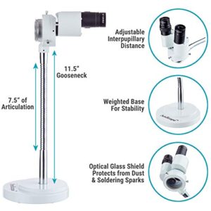 AmScope - 8X Magnification Binocular Stereo Microscope w/ 360 Revolve - Dental, Lab, Electronic Repair, Soldering, Shop Gooseneck Illuminator - SE508