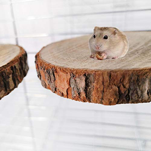 Small Pets Squirrel Hamster Parrot Bird Playing Toy | Wooden Board Jumping Platform Pet Stand