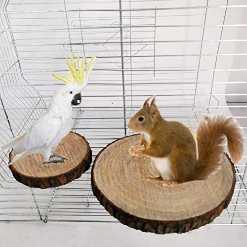 Small Pets Squirrel Hamster Parrot Bird Playing Toy | Wooden Board Jumping Platform Pet Stand