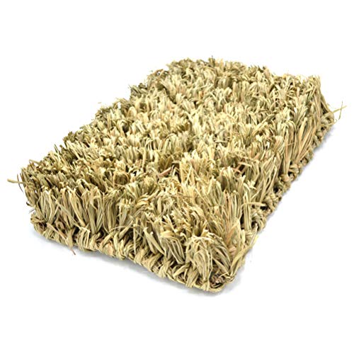 Oxbow Animal Health Timothy Club Hide & Seek Mat, Large