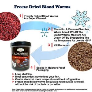 Blood Worms 0.5 oz -100% Natural Freeze Dried Blood Worms - Aquarium Fish Food - High Protein Food for Betta Fish, Food for Goldfish, Food for Cichlid, Food for Guppy, Food for Discus, Food for Turtle