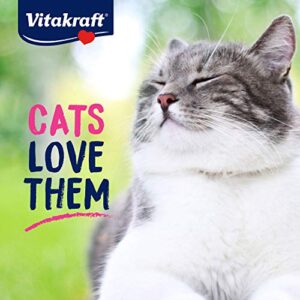 Vitakraft Meaty Morsels Soft Indulgent Cat Treats - Double Layer Extra Meaty - Can Use as Cat Pill Pocket (Chicken with Salmon, 1-Pack)