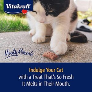 Vitakraft Meaty Morsels Soft Indulgent Cat Treats - Double Layer Extra Meaty - Can Use as Cat Pill Pocket (Chicken with Salmon, 1-Pack)