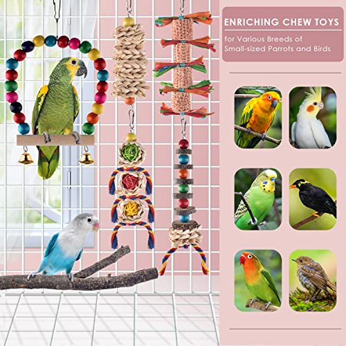 KATUMO Bird Toys, Parrot Chew Toys Parakeet Perch Conure Swing Cockatiel Cage Toys for Lovebird Conure Parakeet and Small Birds