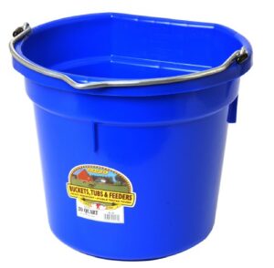 plastic animal feed bucket (blue) - little giant - flat back plastic feed bucket with metal handle (20 quarts / 5 gallons) (item no. p20fbblue6)