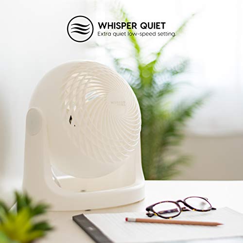 IRIS USA WOOZOO Air Circulator Fan, Vortex Fan, Desk Fan, Portable Fan, 3 Speed Settings, 360 Tilting Head, 46ft Max Air Distance, Large, White