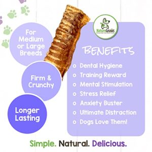 Nature Gnaws Beef Trachea for Dogs - Premium Natural Beef Bones - Simple Single Ingredient Crunchy Dog Chew Treats - Rawhide Free 6 Count (Pack of 1)