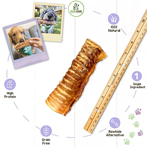 Nature Gnaws Beef Trachea for Dogs - Premium Natural Beef Bones - Simple Single Ingredient Crunchy Dog Chew Treats - Rawhide Free 6 Count (Pack of 1)
