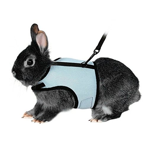 Cute Rabbit Bunny Harness and Leash - Soft Rabbit Harness Breathable Mesh Vest Small Animal Outdoor Walking Running Accessories - Size XL (Sky Blue)