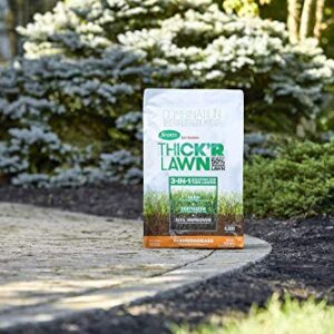 Scotts Turf Builder THICK'R LAWN Grass Seed, Fertilizer, and Soil Improver for Bermudagrass, 4,000 sq. ft., 40 lbs.