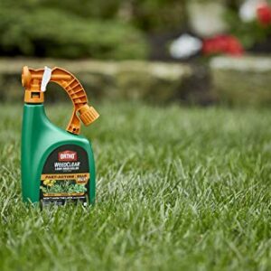 Ortho WeedClear Lawn Weed Killer Ready to Spray: For Northern Lawns, 32 oz.