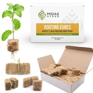 rooting cubes for cloning kit - biodegradable root booster for fast root growth - advanced cloning hormone rockwool alternative - 30 1x1 inch root starter seed starter plugs for cloning trays