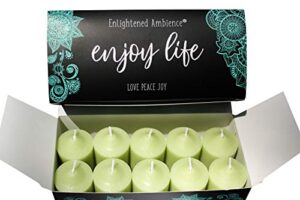 enlightened ambience autumn spiced pears scented candle (green, 10)