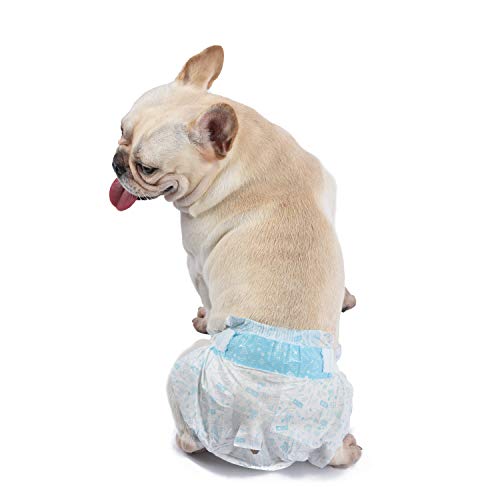 Wags & Wiggles Female Dog Diapers | Doggie Diapers for Female Dogs | Small Dog Diapers, 15"-19" Waist - 12 Pack | Disposable Dog Diapers for Female Dogs