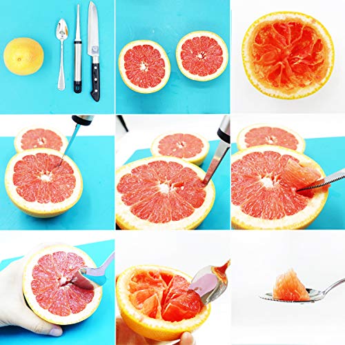 Grapefruit Spoons, Grapefruit Knife with Fruit Forks (7 PCS)