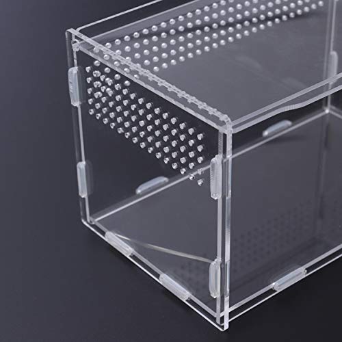 POPETPOP Reptile Tank 1Pc Reptile Box Portative Utility Reptile Box Feeding Case for Tortoise Spider Scorpion Snake Snail Terrarium