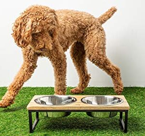 Brave Bark Wood & Metal Feeder - Premium Mango Wood Feeder with Metal Stand, 2 Stainless Steel Bowls for Food or Water Included, Perfect for Dogs, Cats and Pets of Any Size, for Home or Office (Large)