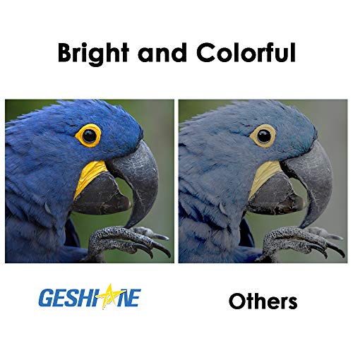 GESHINE 63 XL Remanufactured Ink Cartridge Replacement for HP 63XL High Yield Used for HP 4520 4516 Officejet 4650 3830 3831 4655 Deskjet 2130 2132 3630 3633 3634 Printer (1 Black, 1 Tri-Color)