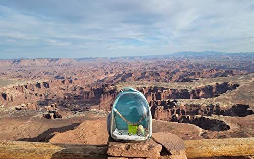 Bird Carrier Cage, Bird Travel Backpack with Stainless Steel Tray and Standing Perch