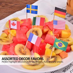 Anley Assorted 100 Different Countries Toothpick Flag - Vivid Double Sided Print & Solid Smooth Pick - Party Decoration Cocktail Fruit Stick Cupcakes Toppers(100 pcs)