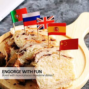 Anley Assorted 100 Different Countries Toothpick Flag - Vivid Double Sided Print & Solid Smooth Pick - Party Decoration Cocktail Fruit Stick Cupcakes Toppers(100 pcs)