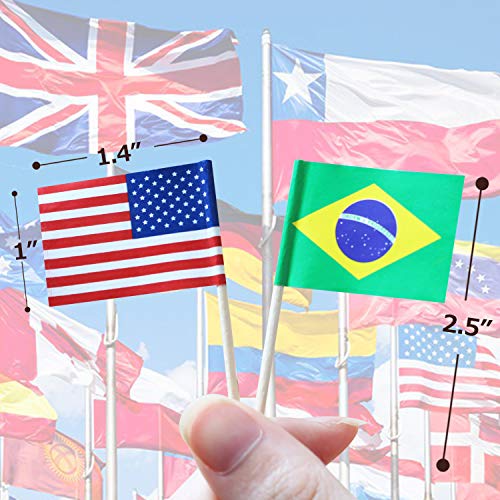 Anley Assorted 100 Different Countries Toothpick Flag - Vivid Double Sided Print & Solid Smooth Pick - Party Decoration Cocktail Fruit Stick Cupcakes Toppers(100 pcs)