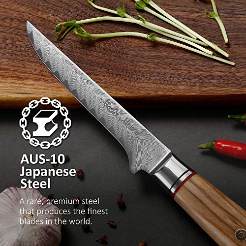 Master Maison 6" Damascus Steel Fillet Knife With Full-Tang Handle, Sheath, Sharpening Stone, Storage Box & Drying Cloth | AUS-10 Japanese Stainless Steel Ultra Sharp Filleting & Boning Knife For Fish