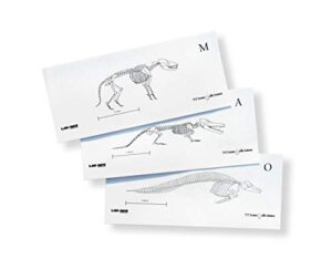 lab-aids evolution: examining fossil and dna evidence (developed by sepup) kit 903s