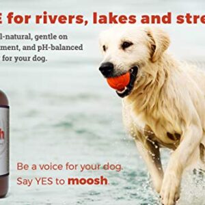 Moosh Natural Dog Shampoo – Promotes Healthy Hair, Coat and Skin. Helps Hot Spots, Dry Itchy Skin. Pet Odor Eliminator – Grooming Shampoo. Shea Butter, Argan Oil, Aloe Vera, Bentonite Clay