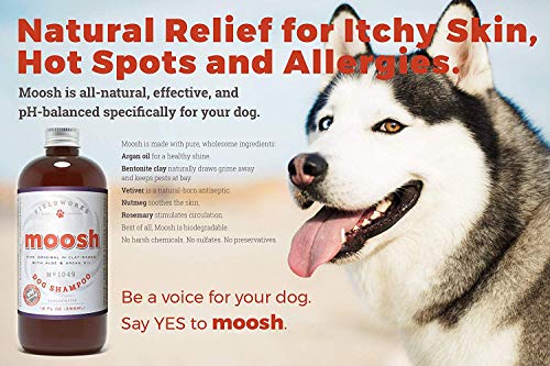 Moosh Natural Dog Shampoo – Promotes Healthy Hair, Coat and Skin. Helps Hot Spots, Dry Itchy Skin. Pet Odor Eliminator – Grooming Shampoo. Shea Butter, Argan Oil, Aloe Vera, Bentonite Clay