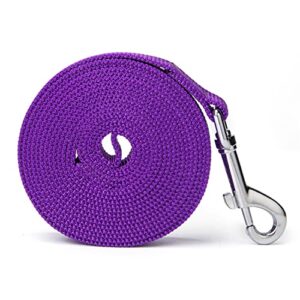 Siumouhoi Strong Durable Nylon Dog Training Leash, 1 Inch Wide Traction Rope, 6 ft 10ft 15ft Long, for Small and Medium Dog (Purple, 10 Feet)