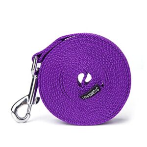 Siumouhoi Strong Durable Nylon Dog Training Leash, 1 Inch Wide Traction Rope, 6 ft 10ft 15ft Long, for Small and Medium Dog (Purple, 10 Feet)