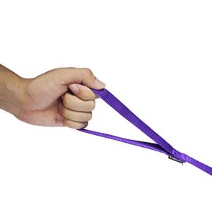 Siumouhoi Strong Durable Nylon Dog Training Leash, 1 Inch Wide Traction Rope, 6 ft 10ft 15ft Long, for Small and Medium Dog (Purple, 10 Feet)