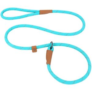 slip lead dog leash, reflective mountain climbing rope leash, dog training leash – 5ft, 2 sizes (medium, turquoise)