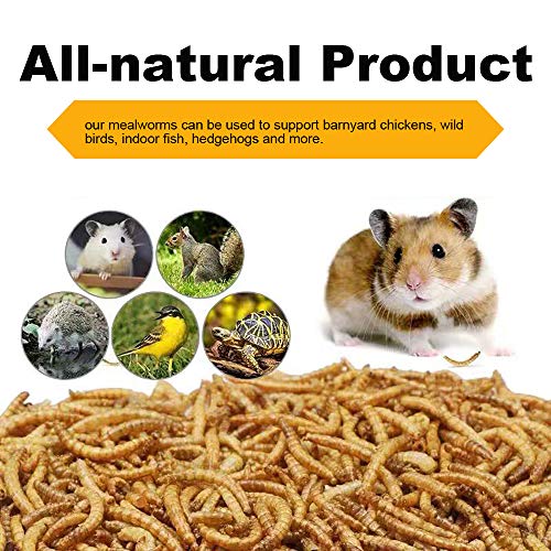 LuckyQworms Bulk Mealworms 11Lbs, High-Protein Dried Mealworms, 100% Non-GMO Mealworm Treats for Birds, Chickens, Turtles, Fish, Hamsters and Hedgehogs All Natural Animal Feed