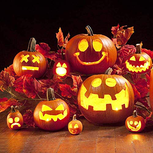 PRUGNA Halloween Pumpkin Carving Kit, 10Pcs Professional Heavy Duty Stainless Steel Tools with Carrying Case