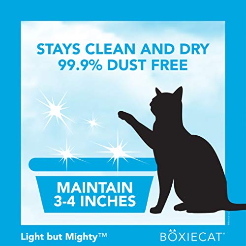 Boxiecat Air Lightweight Premium Clumping Cat Litter -Scent Free- 6.5 lb- Plant-Based Formula- Stays Ultra Clean, Longer Lasting Odor Control, 99.9% Dust Free