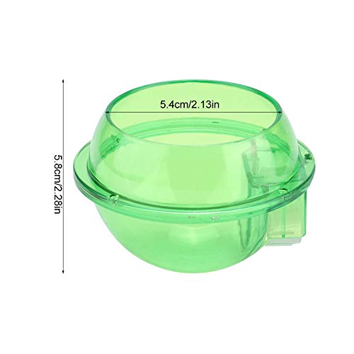 Reptile Feeder, Anti Escape Feeder Cups Transparent Worm Live Fodder Container for Lizard Gecko