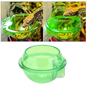 Reptile Feeder, Anti Escape Feeder Cups Transparent Worm Live Fodder Container for Lizard Gecko