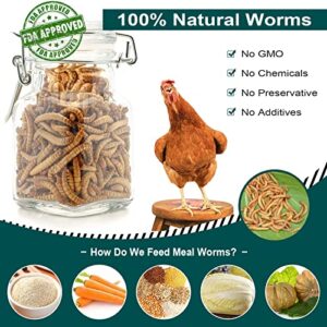 Euchirus 6LBs Non-GMO Dried Mealworms,High-Protein Larvae Treats Feed Molting Supplement for Birds Hens Ducks etc,Large Bulk Meal Worms Birds Chicken Food