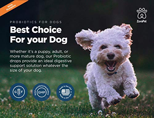 Probiotic for Dogs with Natural Digestive Enzymes. A Prebiotics + Digestive Enzyme Product for Dogs + Pumpkin. 120 Servings. Diarrhea & Upset Stomach Relief + Gas, Constipation, and Allergy Relief.