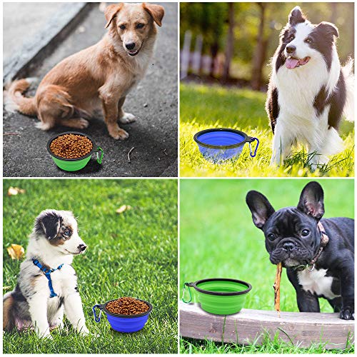 Dog Bowl, 2 Pack Collapsible Water Bowls for Cats, Portable Pet Feeding Watering Dish for Walking Parking Traveling with 2 Carabiners (Small, Blue+Green)